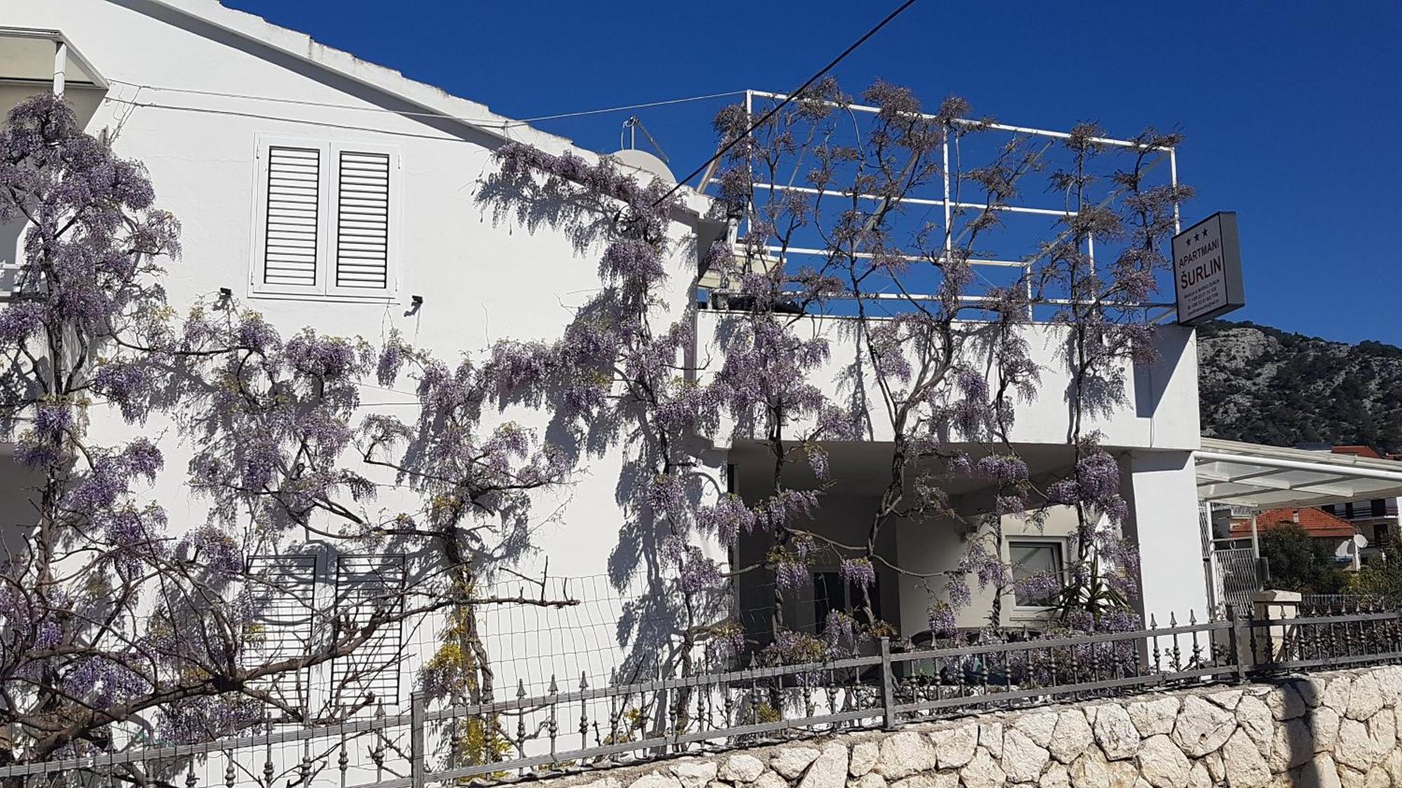 Apartmani Surlin Hvar Town Zewnętrze zdjęcie