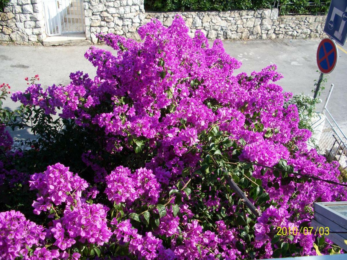 Apartmani Surlin Hvar Town Zewnętrze zdjęcie